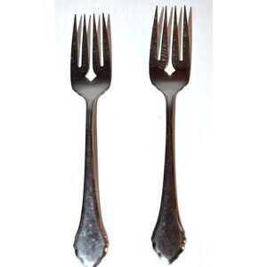 Oneida Stainless SUMMER MIST Salad Forks 6 1/8" Wm A Rogers AUTUMN GLOW 2 pc set